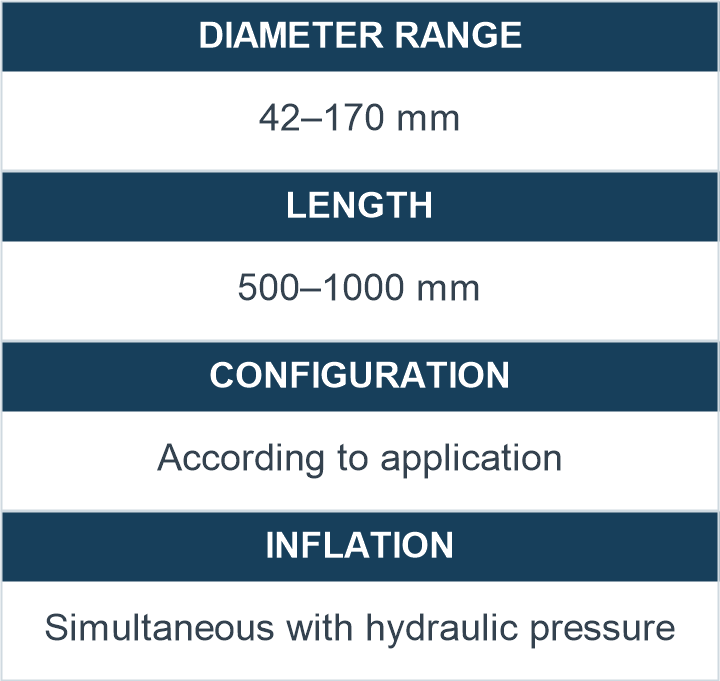Technical specifications table for a double packer